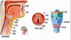 急性会厌炎该如何应对_重庆仁品耳鼻喉医院