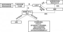 急诊来了头痛患者，按这个流程处理最快捷