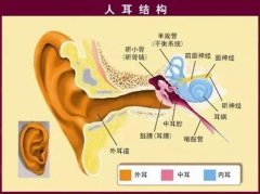 【科普】耳朵里面经常痒，或许是这4种情况