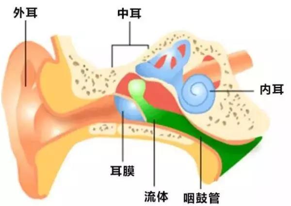 中耳炎有什么危害