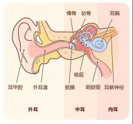 关爱你的耳朵——耳朵发炎怎么办？